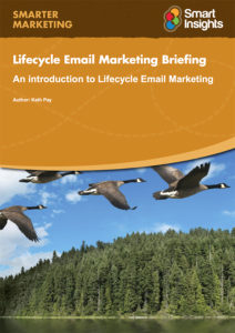 Lifecycle Email Marketing Briefing