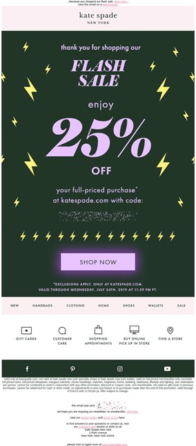 Kate Spade offers a special discount to flash sale customers. - Holistic  Email Marketing