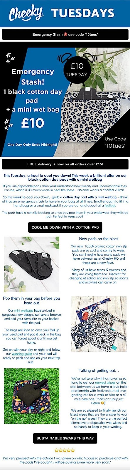 cheeky wipes email copywriting sample